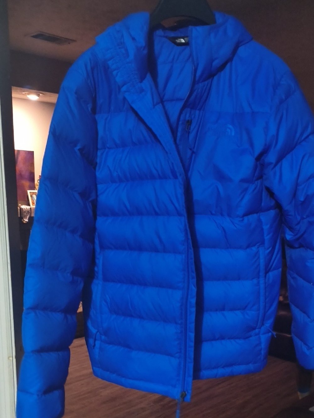 The North Face Blue Puffer Jacket